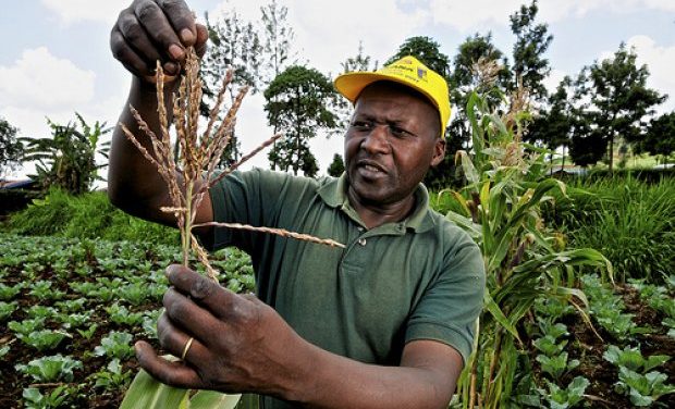 African farmers demand increased access to mechanised agriculture