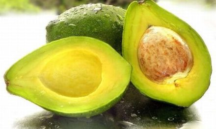 Kenyans cash in on avocado craze