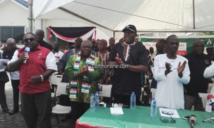 NDC Elects National Executives Today
