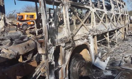 Zimbabwe bus: At least 42 killed in suspected gas explosion