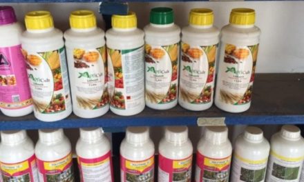 Opuni trail: Lithovit fertiliser good for cocoa, veggies – Accused’s lawyer tells court