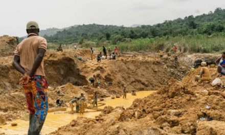 Gov’t introduces integration project ahead of lifting of ban on small-scale mining
